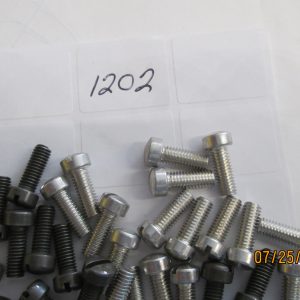 Harley Fillister Head Screw. Part # 1202. or Old # 036