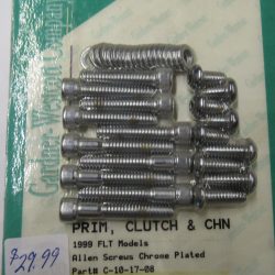 Harley Twin-Cam FLT Primary Cover Chrome Allen Head Screw Kit. 1999-UP?