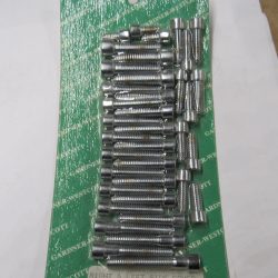 Harley Shovelhead, FXR, FLT Chrome Allen Head Primary Cover Screw Kit. 1980-84
