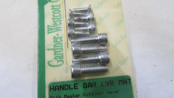 Harley Evolution, Shovelhead Handle Bar Switches Screw Kit. 1982-95