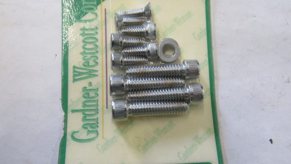 Harley Evolution,Twin-cam Handle Bar Switches Screw Kit. 1996-UP
