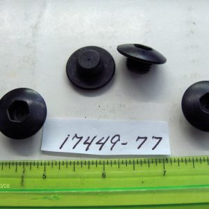 Harley Davidson Shovelhead, Sportster Rocker Arm Shaft End Screws (BLACK) "NOS" P/N 17449-77